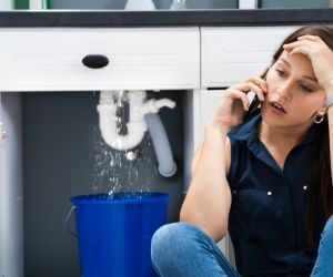 About Plumbers Pros Saint James City, FL